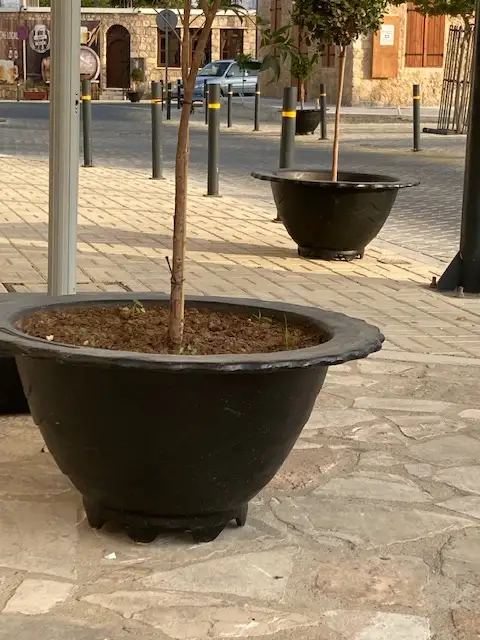 Cast iron urban planter